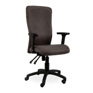 Spine Ergonomic